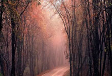 开云平台-卡瓦哈尔绝杀，皇马客场取胜奥萨苏纳