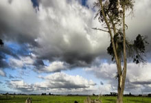 开云体育app-卡尔蒂斯防线协作提升，力求限制攻击