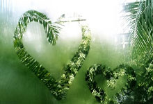 开云体育在线-阿尔希拉尔主场优势明显，球迷期待逆转奇迹