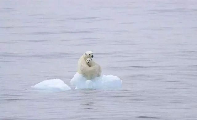 开云体育入口-关于桑普多米尼科遭遇两连败，危机临近的信息