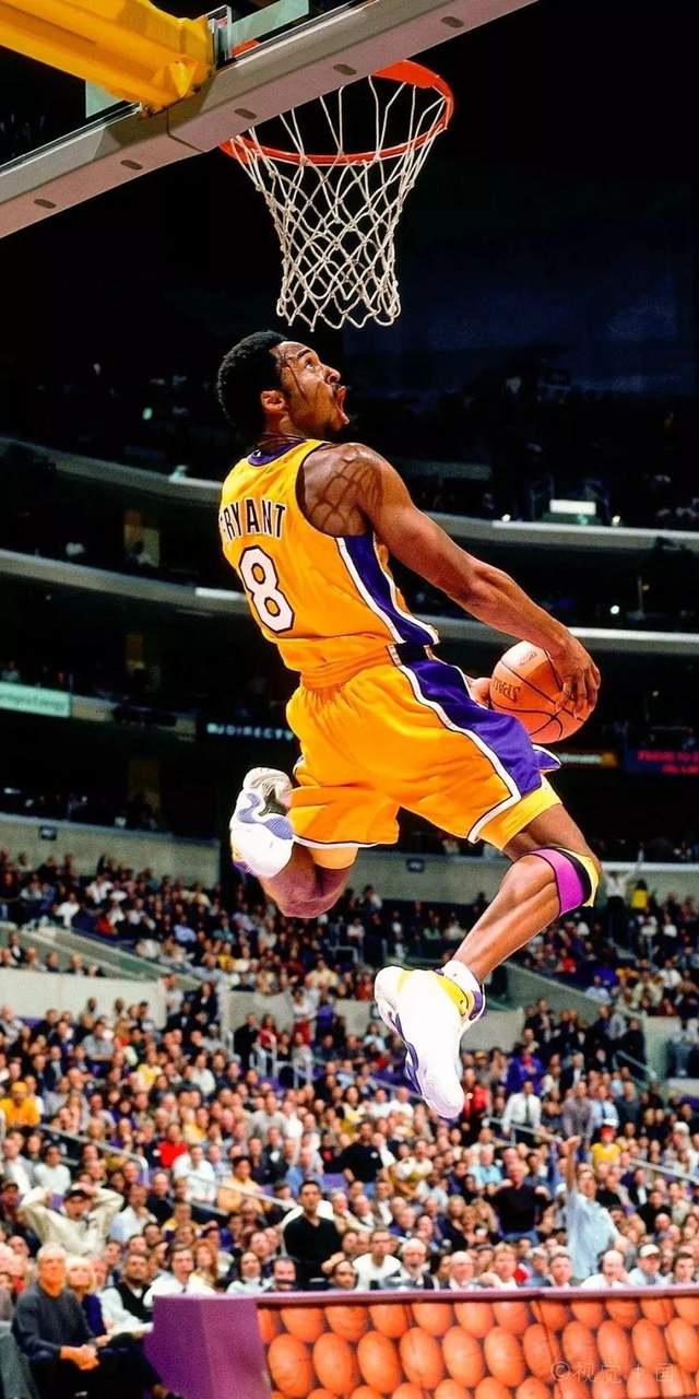 谁将成为篮球场上的下一个巨星?的简单介绍 谁将成为篮球场上的下一个巨星?的简单介绍