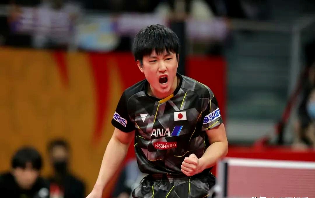 开云官网-关于奥地利乒乓球队翻盘比利时乒乓球队，张本智和惊艳世界的信息