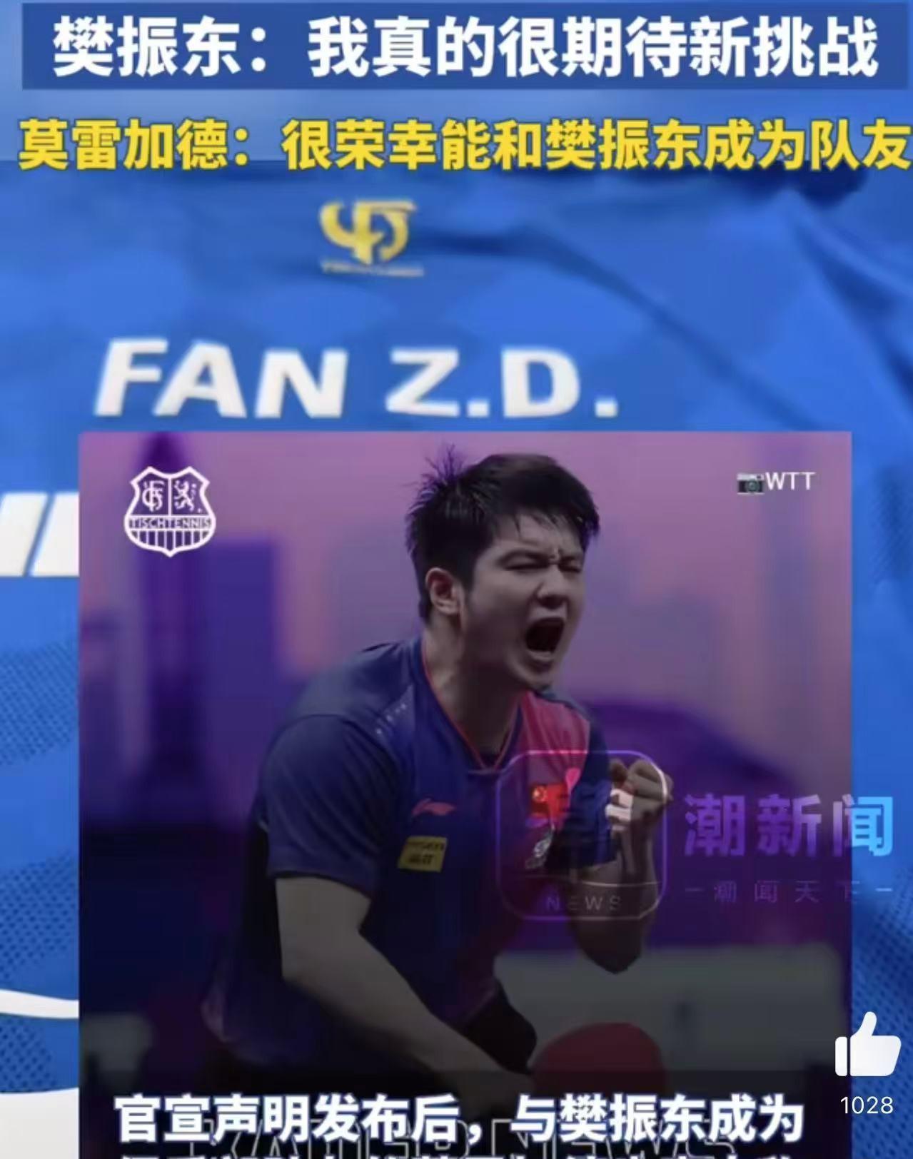 开云体育app-法国乒乓球队血洗瑞典乒乓球队，樊振东打破历史纪录的简单介绍