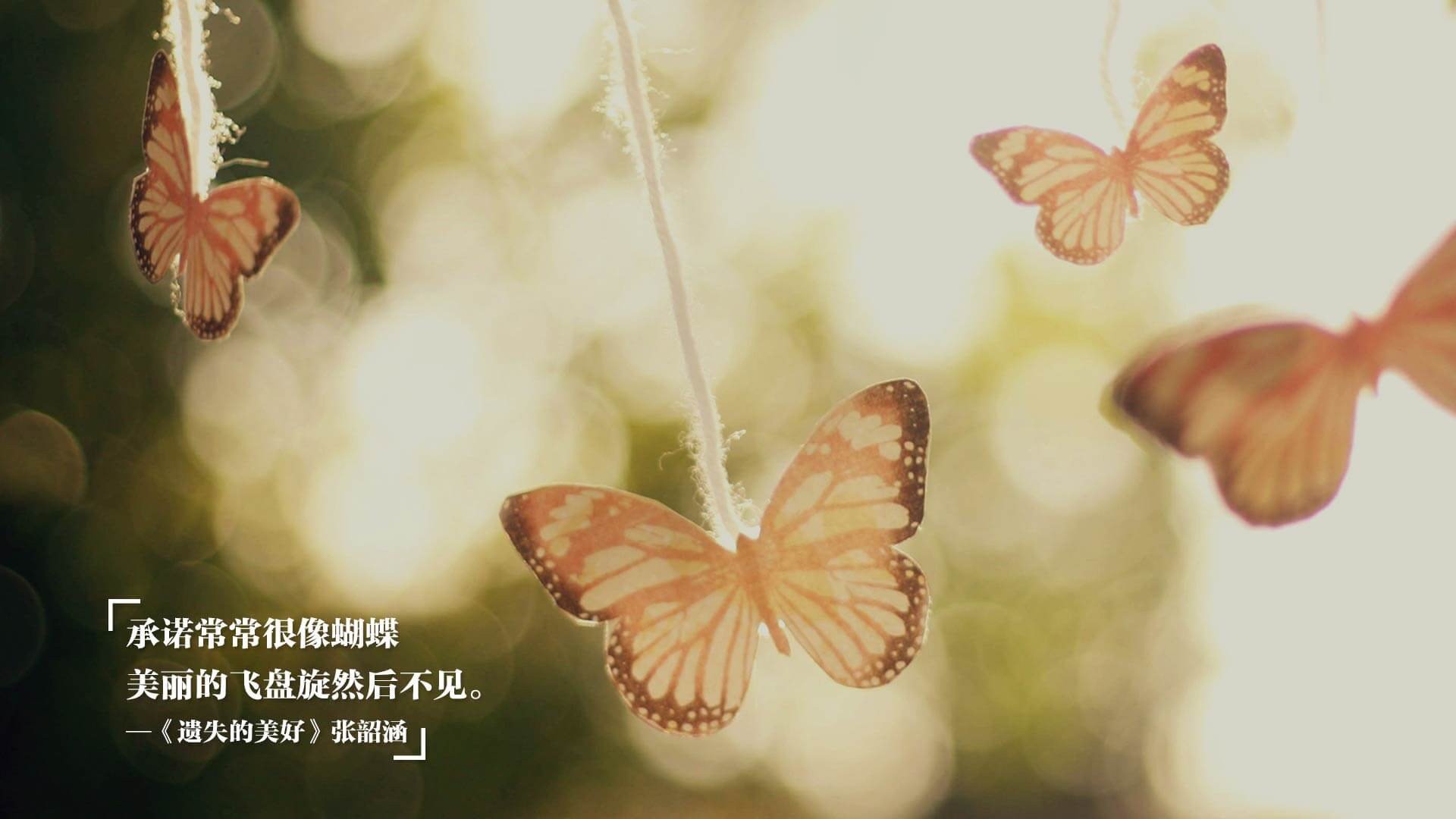 开云体育登录-冰岛传说陨落之夜，从马赛血性到阿尔瓦雷斯加冕，2026的传承与征服