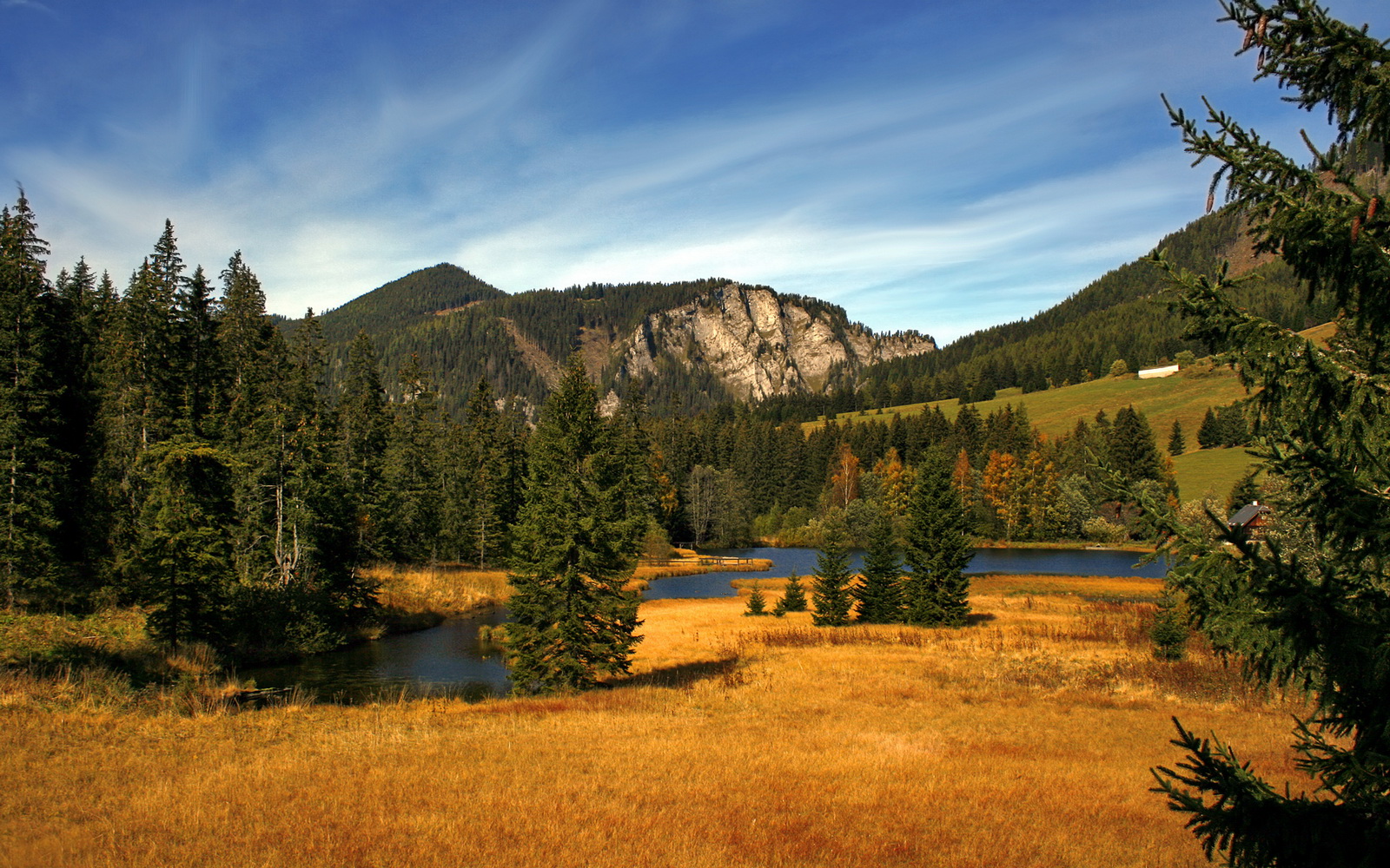 当扬尼斯化身时间领主,雄鹿绿军肉搏战中,莫兰特的数据幽灵正在降临