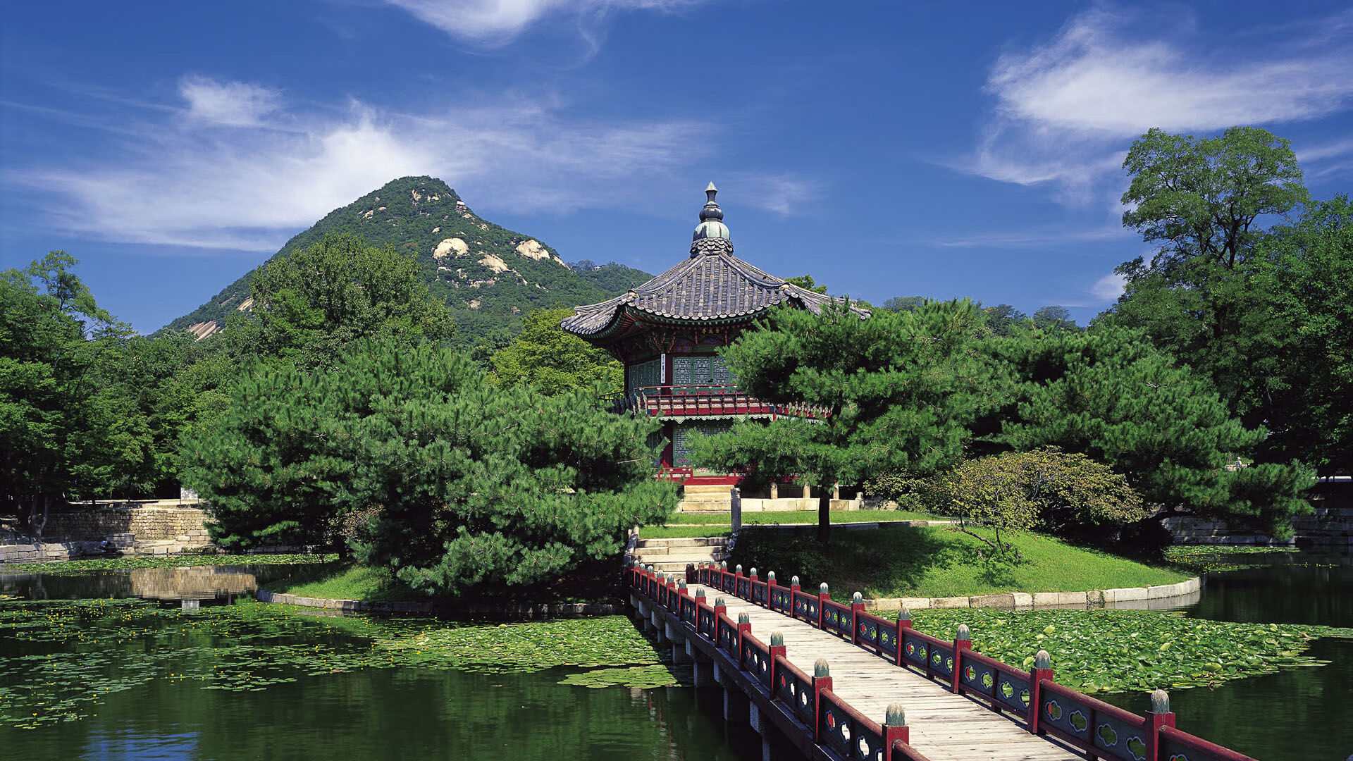 开云体育平台APP-拉梅洛关键制胜，尼克斯关键战突围辽宁队