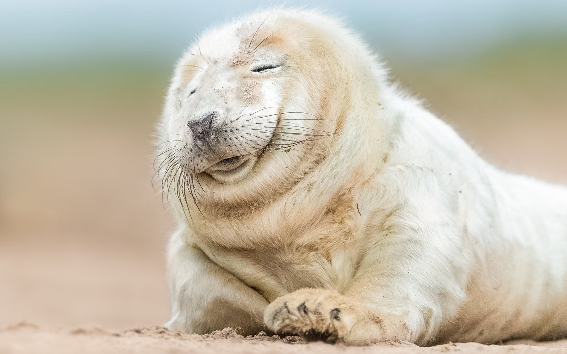 开云体育平台APP-布雷默一锤定音！国际米兰鏖战贝蒂斯拿下关键胜利