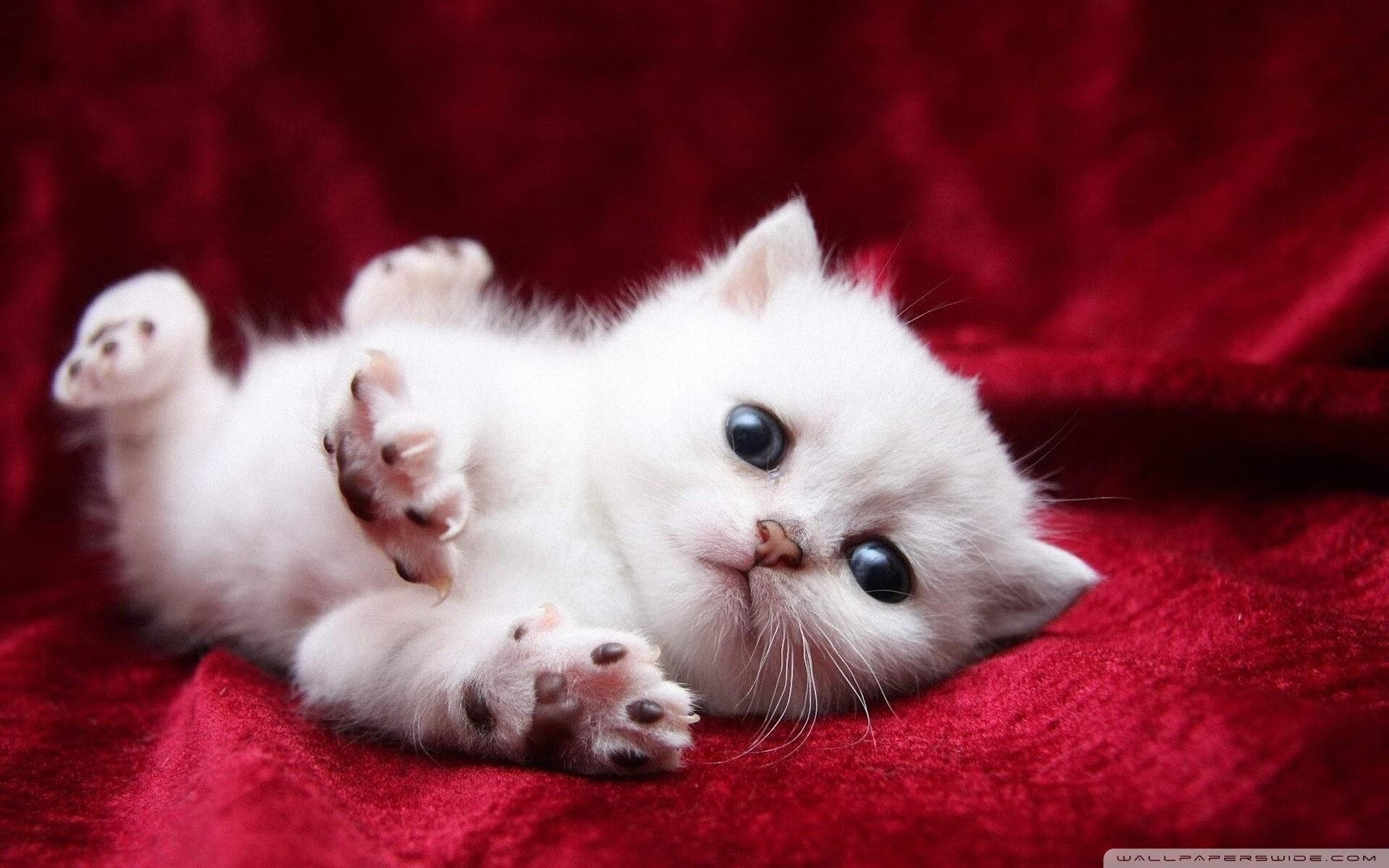 布雷默一锤定音！国际米兰鏖战贝蒂斯拿下关键胜利