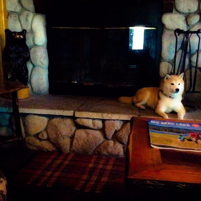 绿茵对决与孤勇破阵,体育的双面书写