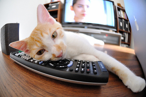 开云下载-绿茵烽火与篮下寒流，当英超争冠白热化撞见辽宁的冷门启示