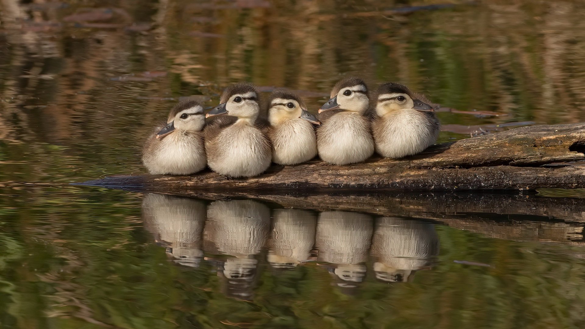 开云平台-北境之狼与黄色潜水艇，姆巴佩于重压深海中的惊天爆破