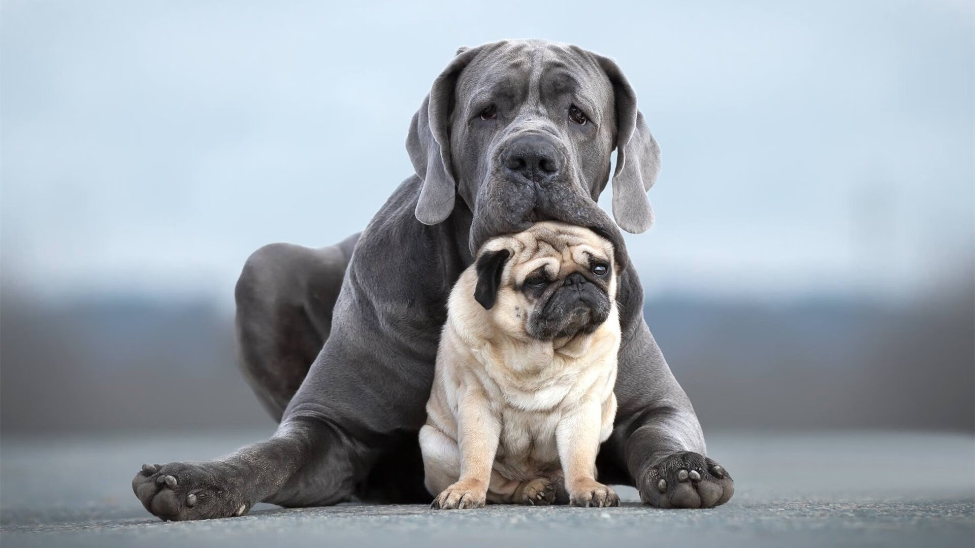 左翼惊雷炸响,右路铁骑踏破—阿拉巴爆发引领乌拉圭打穿哥伦比亚神话
