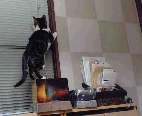 开云体育app-F1引擎轰鸣中的隔空对决，当极速遇上统治力，今夜无人入眠