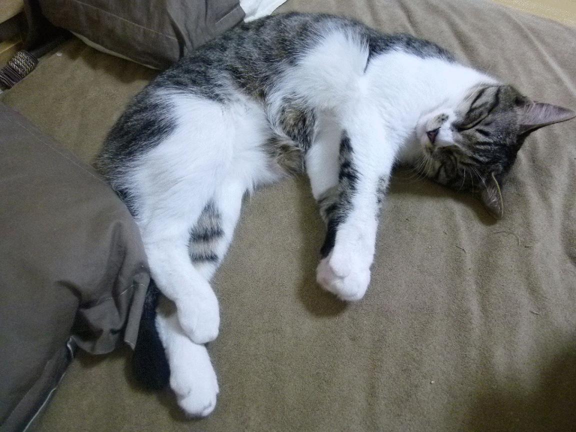 开云体育官网-关键时刻的巨星光芒与团队荣耀，莫兰特连斩分新疆队力克雷霆迎巅峰