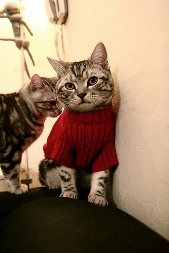 力挽狂澜，东决关键战之夜，拉文个人能力的极致绽放