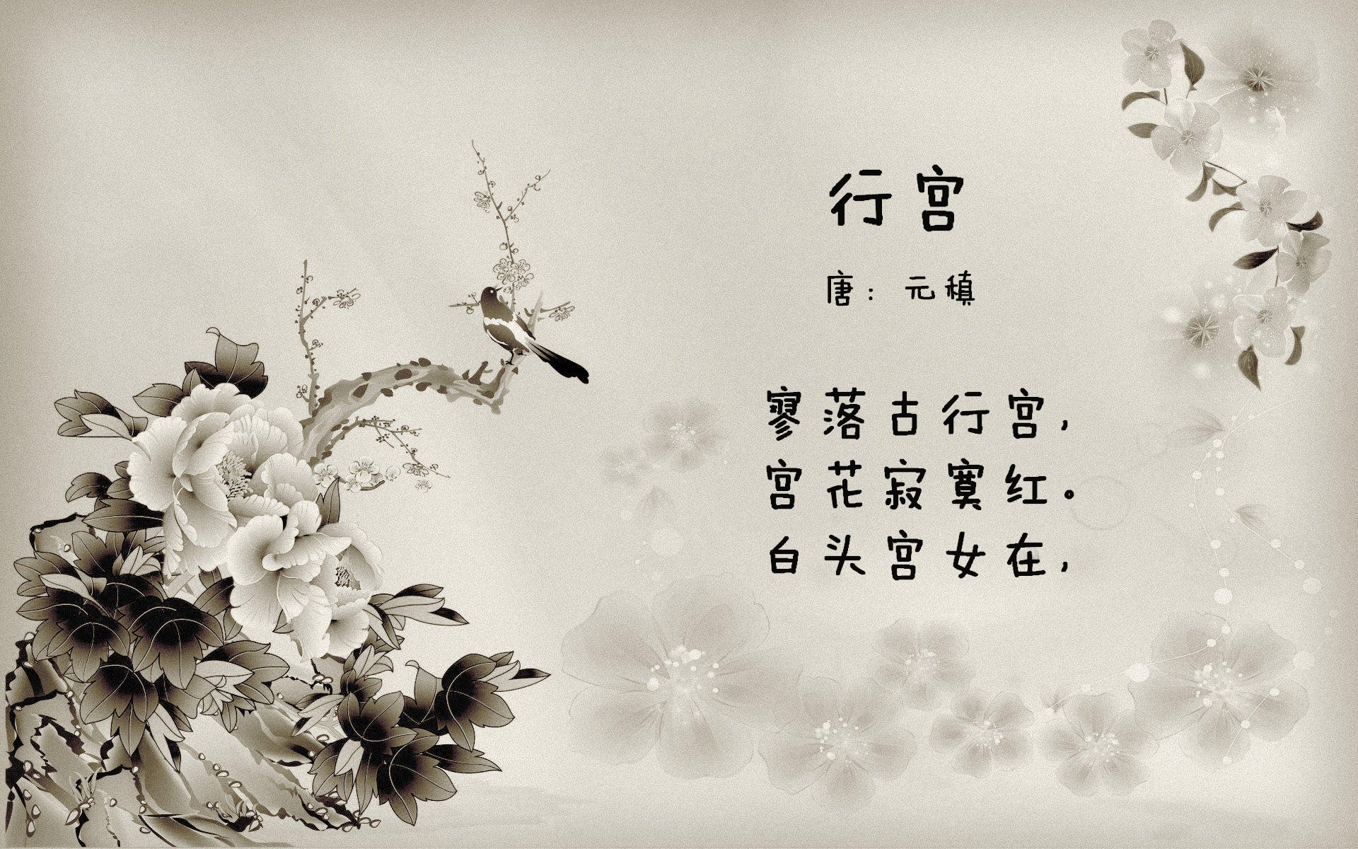 开云体育入口-跨界巨兽，当锡安与周琦在赛道和赛场双重奏凯