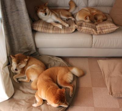 节奏大师莫德里奇的掌控艺术,解析土耳其关键战突围毕尔巴鄂的战术博弈