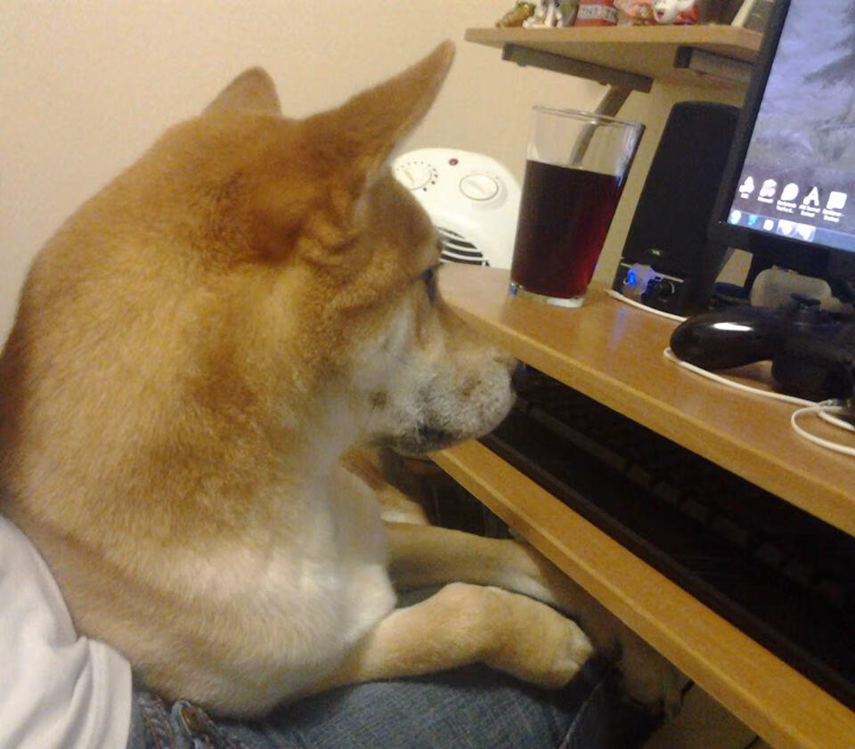 阿圭罗闪耀,巴拉圭苦战力克卡塔尔,南美劲旅展现实力